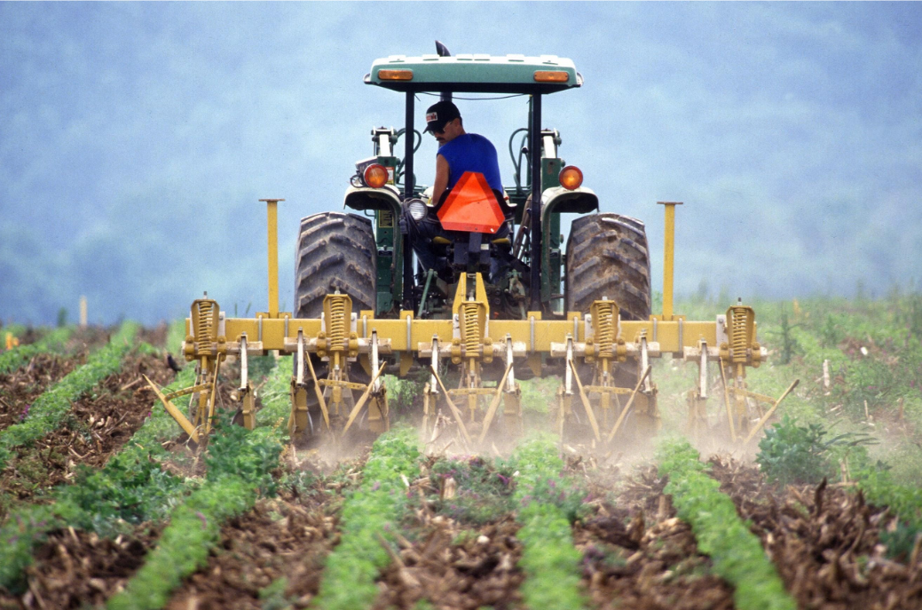 Les jeunes exploitants souffrent de la crise agricole. Photo © DR