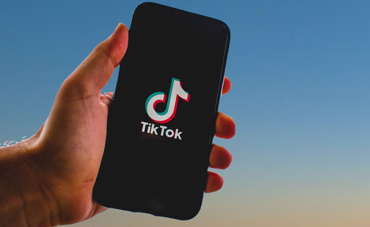 TikTok est gangréné par des influenceurs extrémistes. Photo © Nitish Gupta de Pixabay